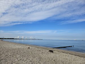 Hundestrand Hohe Düne